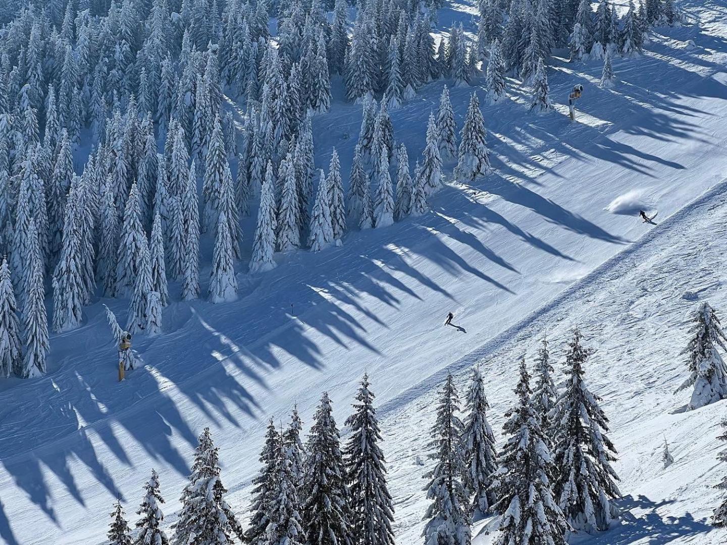 Aparthotel Kopaonik Брзече Экстерьер фото