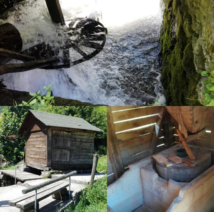 Aparthotel Kopaonik Брзече Экстерьер фото